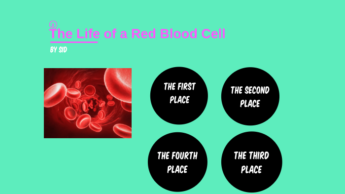 The Life of a Red Blood Cell by Sidhartha Bryant on Prezi
