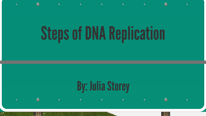 Steps of DNA Replication by Julia Storey on Prezi