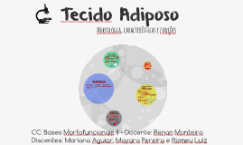 Tecido Adiposo By Mariana Aguiar