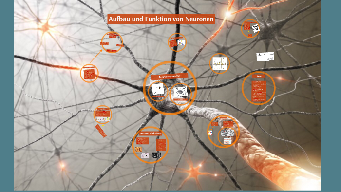 Aufbau Und Funktion Von Neuronen