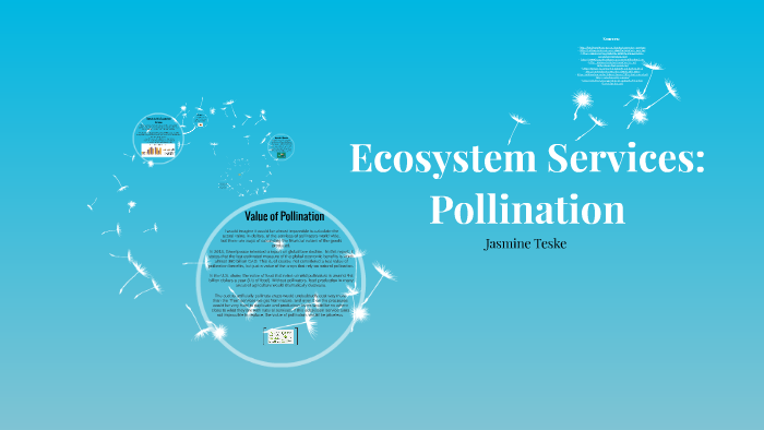 ecosystem-services-pollination-by-jasmine-teske