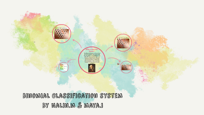 Binomial Classification system by nalin moustafa on Prezi