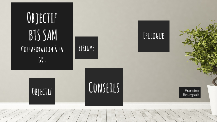 Bts Sam Collaboration à La Gestion Des Ressources Humaines Corrigé