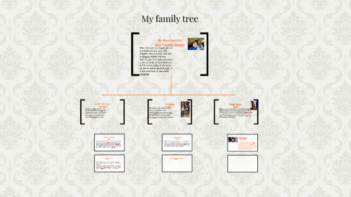 My Family Tree Graphic Organizer