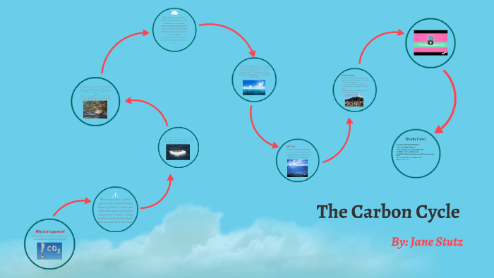 The Carbon Cycle by Jane Stutz on Prezi