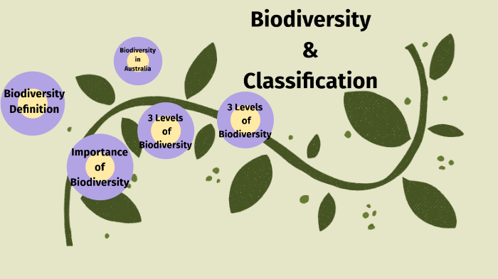 Biodiversity & Classification By Anzelle Harris