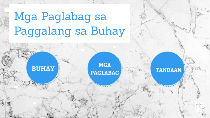 Mga Paglabag sa Paggalang sa Buhay by JONAH MICAH CASTILLO