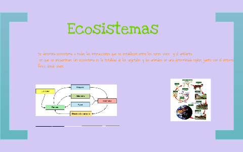 Los ecosistemas by Karina Guerbi on Prezi