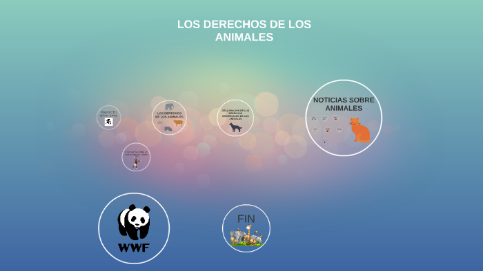 LOS DERECHOS DE LOS ANIMALES by Eva García on Prezi