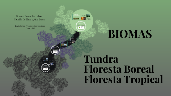 BIOMAS by Júlia Luísa on Prezi