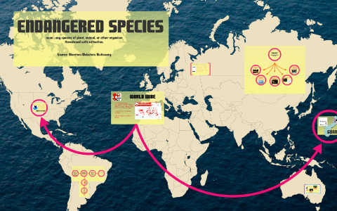 Endangered Species by Kaelina Naputi on Prezi