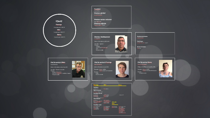 Organigramme by Eric RUPPERT on Prezi