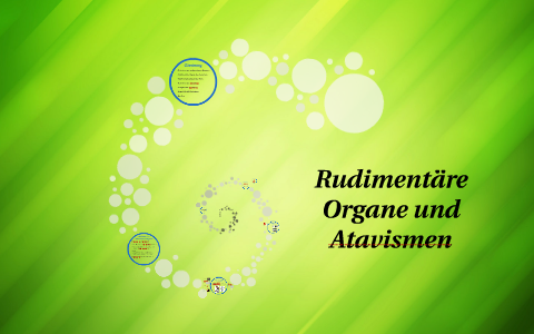 Rudimentäre Organe und Atavismen by on Prezi