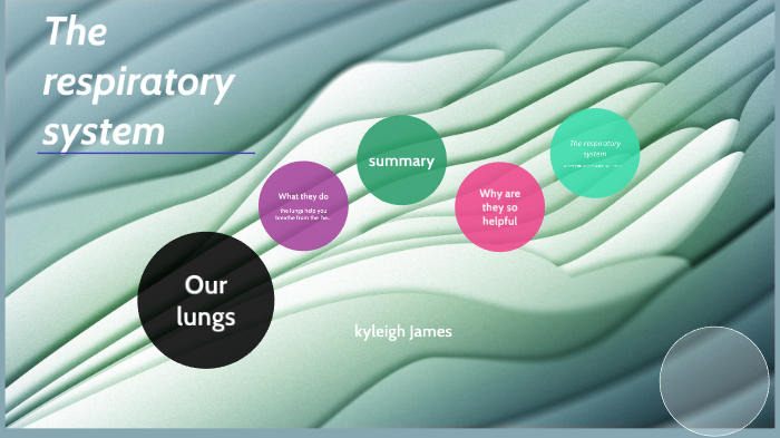The respiratory system by Kyleigh James on Prezi