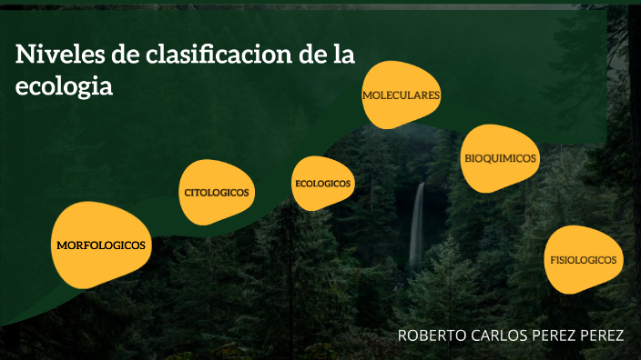 Niveles De Clasificacion De La Ecologia By Roberto Carlos