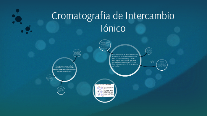 cromatografía de intercambio de iones