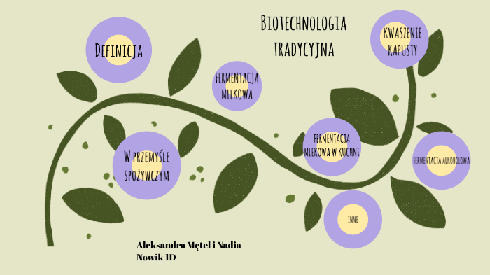 Biotechnologia tradycyjna by Aleksandra Mętel on Prezi