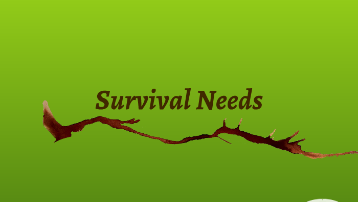 survival needs