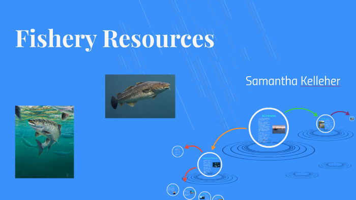 fishery-resources-by-ishbel-newstead