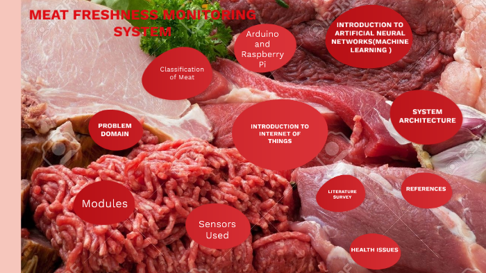 MEAT FRESHNESS MONITORING AND ANALYSIS by yaswanth sekar