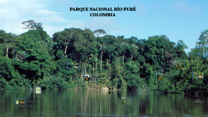 PARQUE NACIONAL RÍO PURÉ by andres soto on Prezi