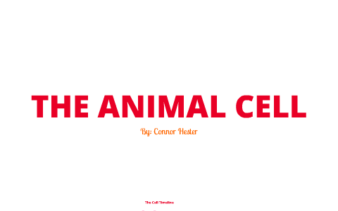 The Animal Cell by Connor Hester on Prezi