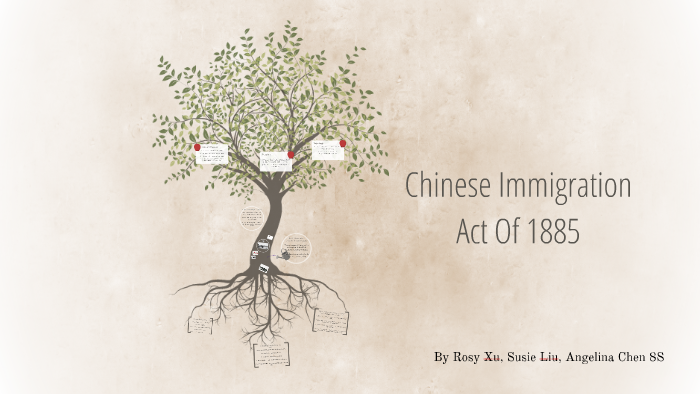 chinese immigration act essay