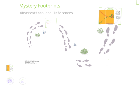 Mystery Footprints by Monica Carter