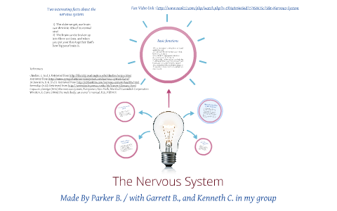 The Nervous System by on Prezi