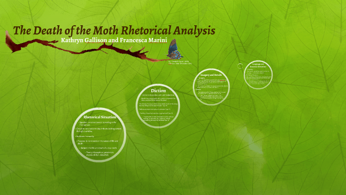 the death of the moth virginia woolf analysis