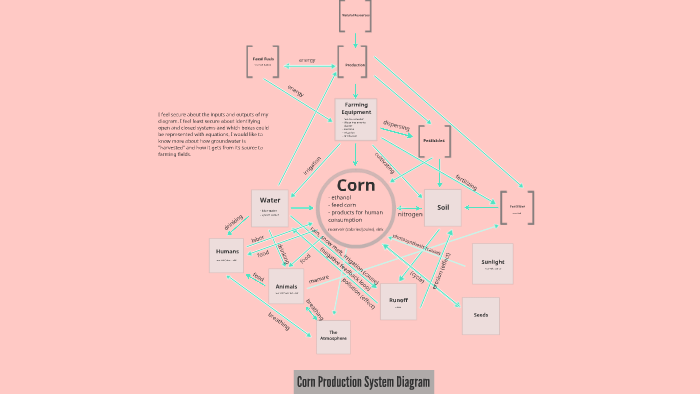 Corn Production System Diagram by emmie klever on Prezi Biology Diagrams