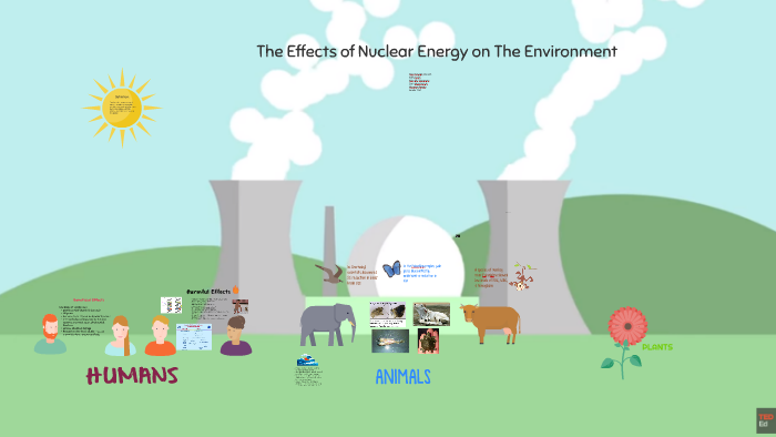 The Effects of Radiation on The Environment by Yara Haydar