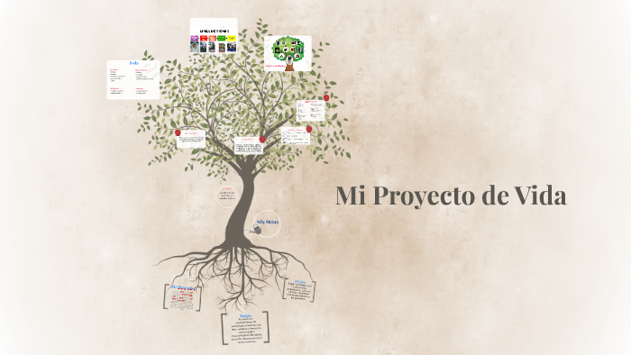My Proyecto de Vida by Estuardo Rodas on Prezi
