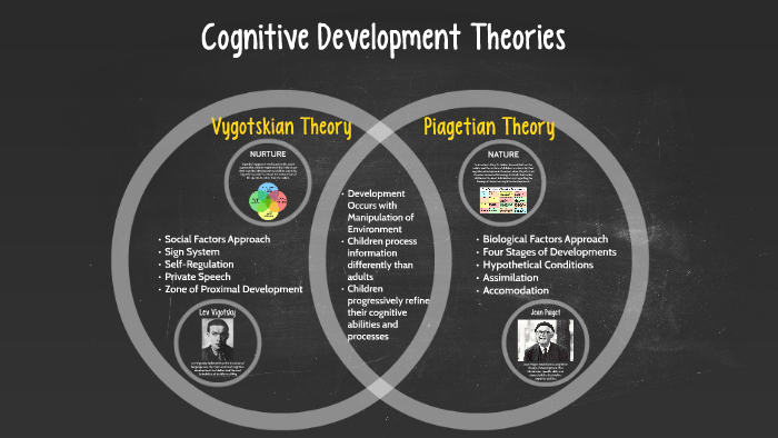 Cognitive Development Theory by Clarissa Banks on Prezi
