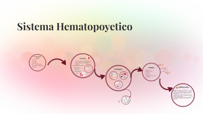 Sistema Hematopoyetico by Selena Rios on Prezi