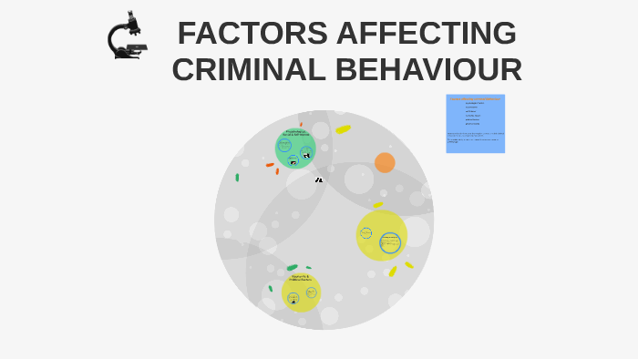 factors-affecting-criminal-behaviour-by-natalie-mikhael