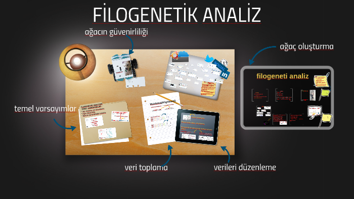 Psixikaning filogenetik taraqqiyoti презентация