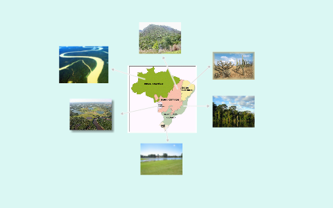 biomas brasileiros by felipe galli on Prezi