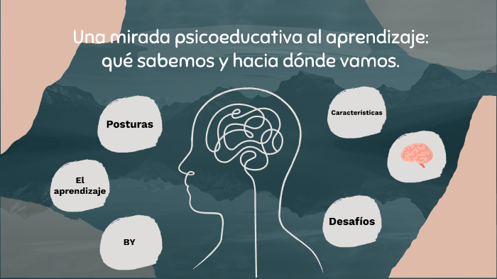 Una mirada psicoeducativa al aprendizaje: qué sabemos y hacia dónde ...