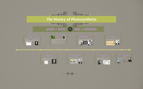 Photosynthesis And Scientists By Connor Youngberg On Prezi