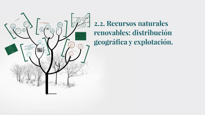 2.2. Recursos naturales renovables: distribución geográfica by