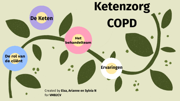 Ketenzorg Copd By Elsa De Bok On Prezi