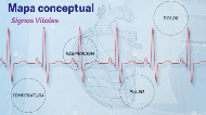 Mapa Conceptual de los Signos Vitales by Marta Ibañez Ruiz on Prezi Next