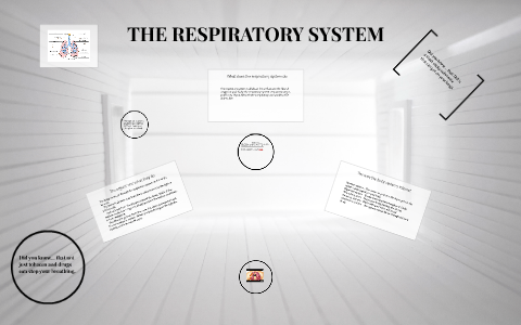 THE RESPIRATORY SYSTEM by Dylan Connell on Prezi