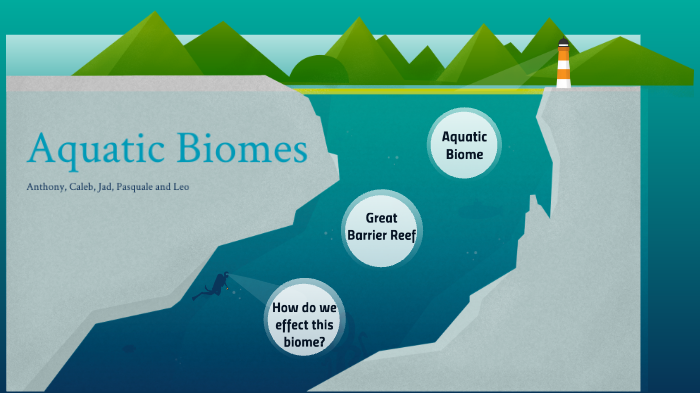 Aquatic Biomes Diagram