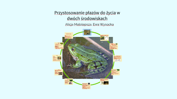 Przystosowanie płazów do życia w dwóch środowiskach by Alicja Juniak on