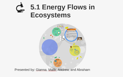 5.1 Energy Flows in Ecosystems by Gianna Salas on Prezi
