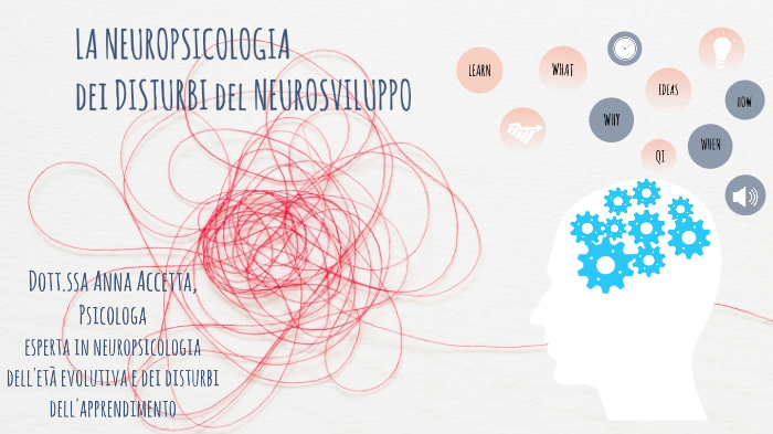 LA VALUTAZIONE NEUROPSICOLOGICA by Anna Accetta on Prezi