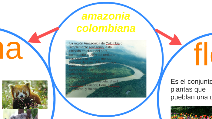 amazonia colombiana by adriana martinez on Prezi