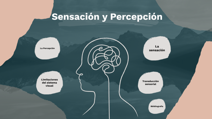 Sensación y Percepción by Soy Hassler on Prezi